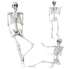 Wocst 5.4Ft/165cm Halloween Skeleton Full Body Life Size Human 5.4Ft, Silver