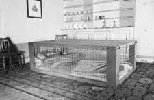 WW2 PICTURE PHOTO UK LONDON HOME MORRISON SHELTER 6798