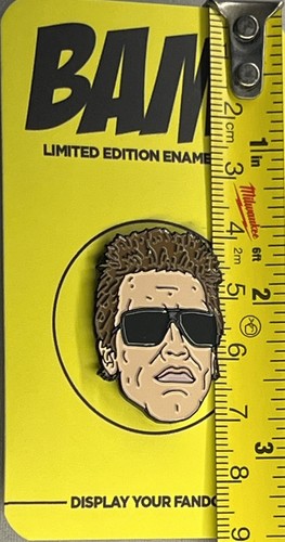 PIN exclusivo TERMINATOR Schwarzenegger BAMBox - Imagen 3 de 3