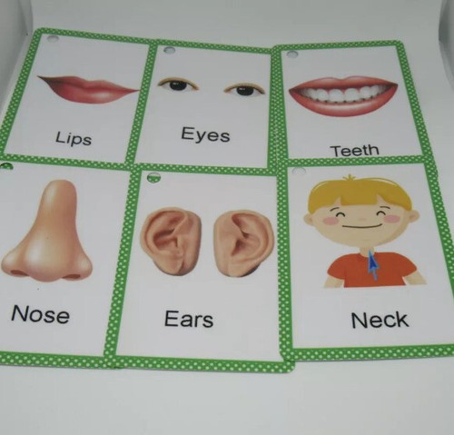 Tarjetas flash de primeras 100 palabras, animales, partes del cuerpo, frutas y verduras para niños pequeños. - Imagen 8 de 9