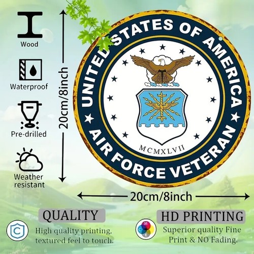 U.S. Air Force Veteran 8x8" rundes HOLZ Wandbild - neu - Verkäufer ist Kampftierarzt - Bild 2 von 4
