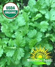 Cilantro (Coriander) Seeds (300) / ORGANIC / FLORIDA GROWN / MEXICAN CUISINE