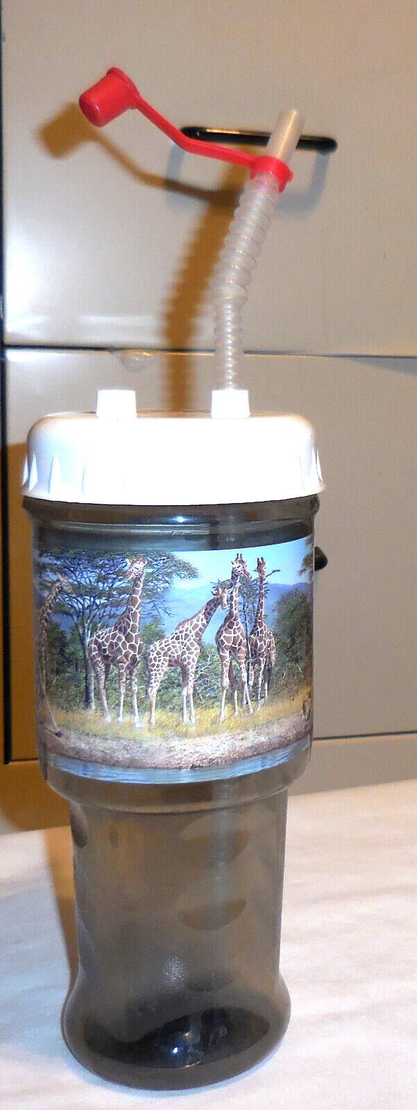 1 Africa At The Toledo Zoo Ohio reusable drink bottle With S