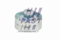 FT44666 Fast Spannrolle, Keilrippenriemen FüR Ford
