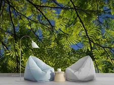 3D Green Leaves Self-adhesive Removeable Wallpaper Wall Mural Sticker 42