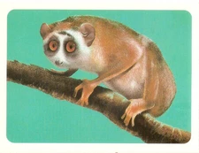 Disney: Animals Sheet - Mickey's Diary Collection .No 34. The HAIL LORIS