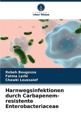 Harnwegsinfektionen durch Carbapenem-resistente Enterobacteriaceae Rebeh Bougoss