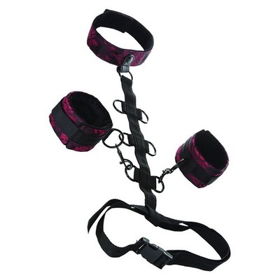Calexotics Scandal - Construktive Bondage mit Halsband und Armbändern
