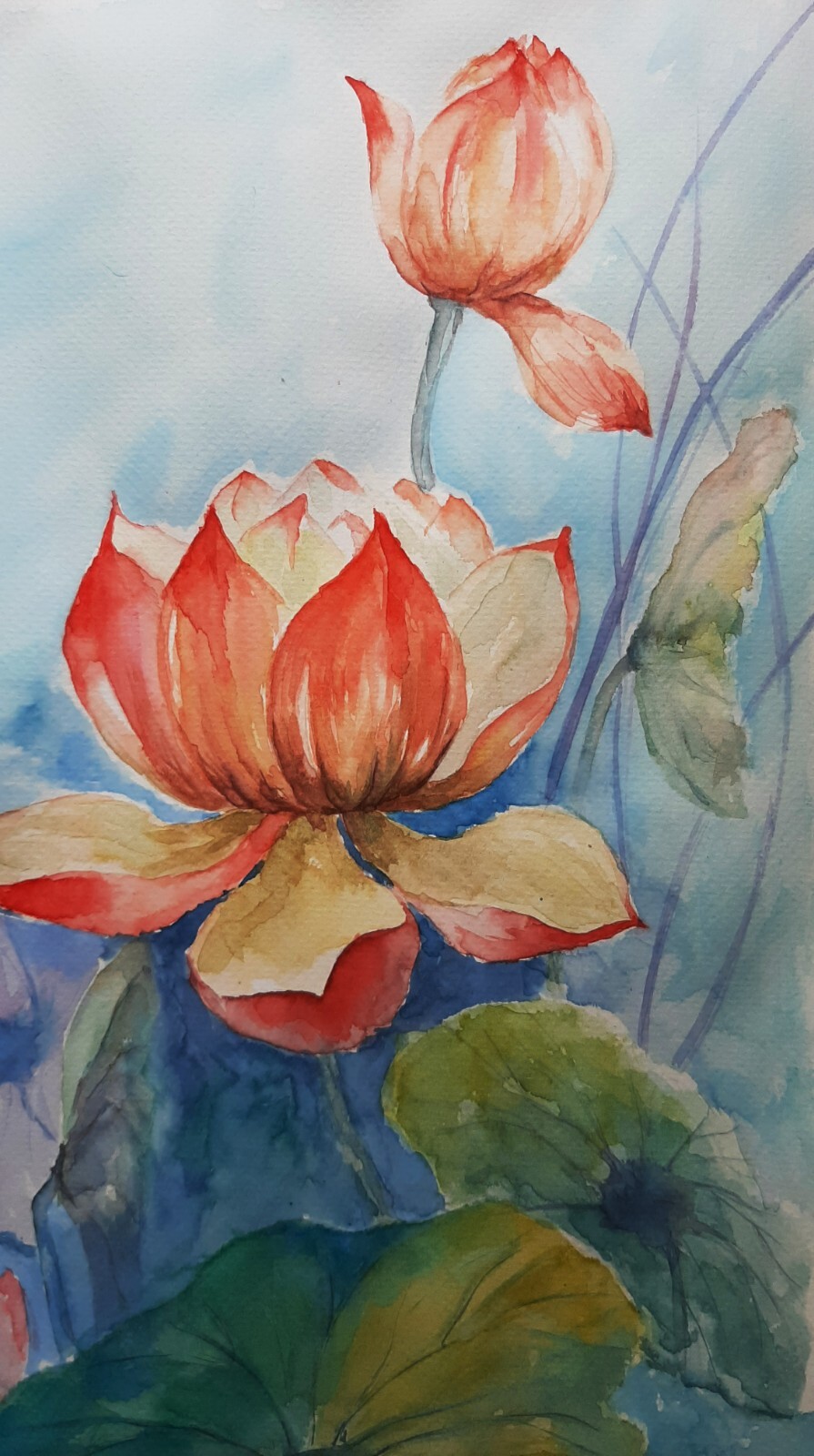 Picture 12 of 17