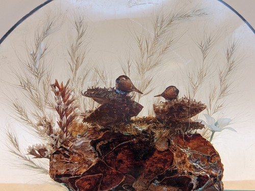 Vintage Art Glass Paperweight Large Half Moon Clear Acrylic Resin Dried Flower - Picture 3 of 11