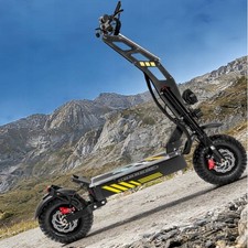 Zsnake T116PLUS Elektroroller 8000W 40AH 14'' E-Scooter Klappbar E-Roller …