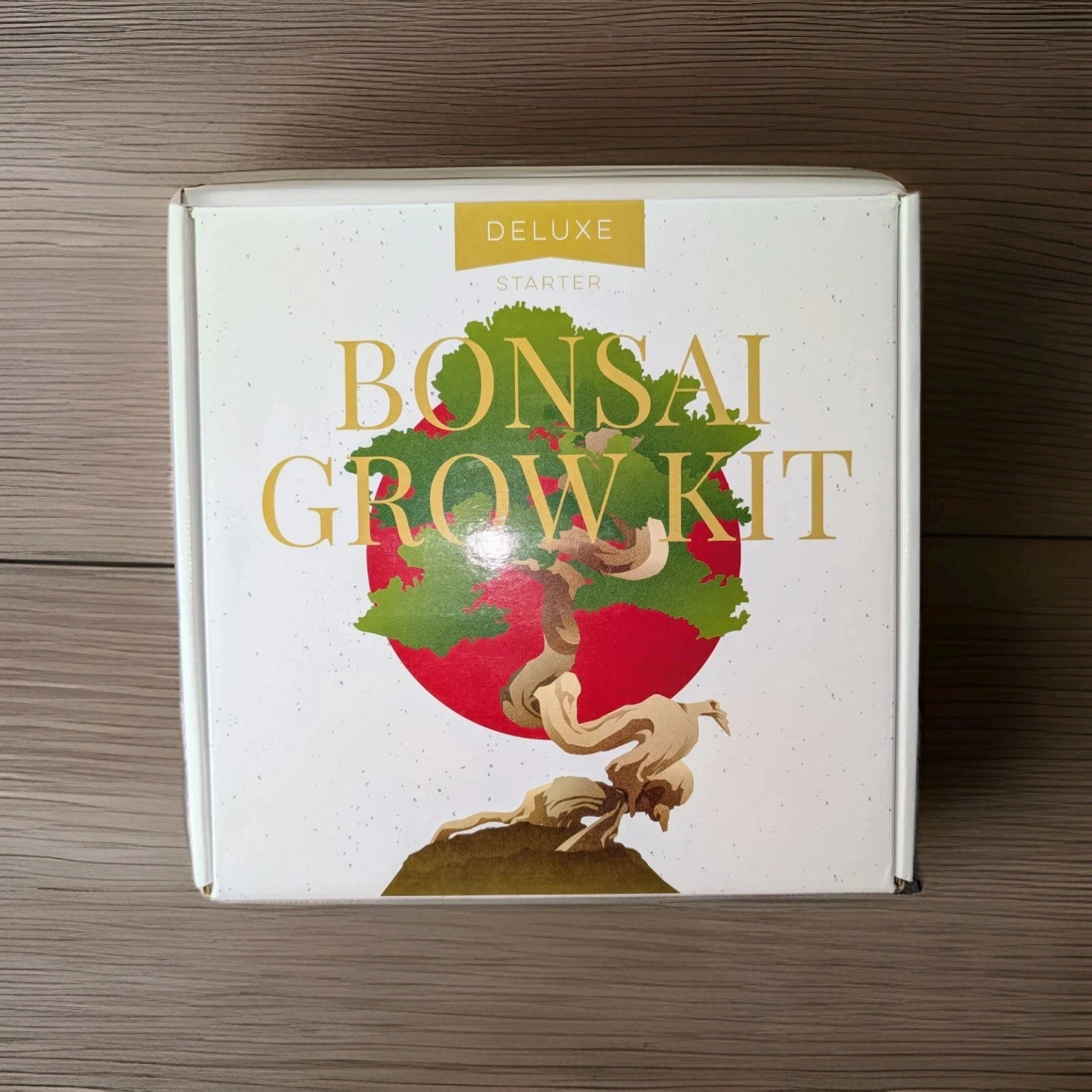 Homegrown Deluxe Bonsai Tree Starter Seeds Grow Kit. NIB High Germination Rate