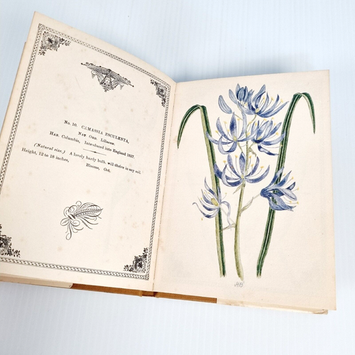Bulbous Flowers by H Budden A Colonial Nurseryman's Catalogue Hardcover 1979 - Picture 16 of 23