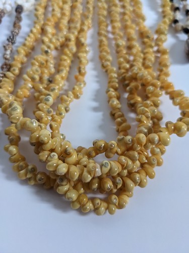 Shell Seed Necklaces Lot Of Ten Unique New Natural Jewelry - Picture 11 of 24