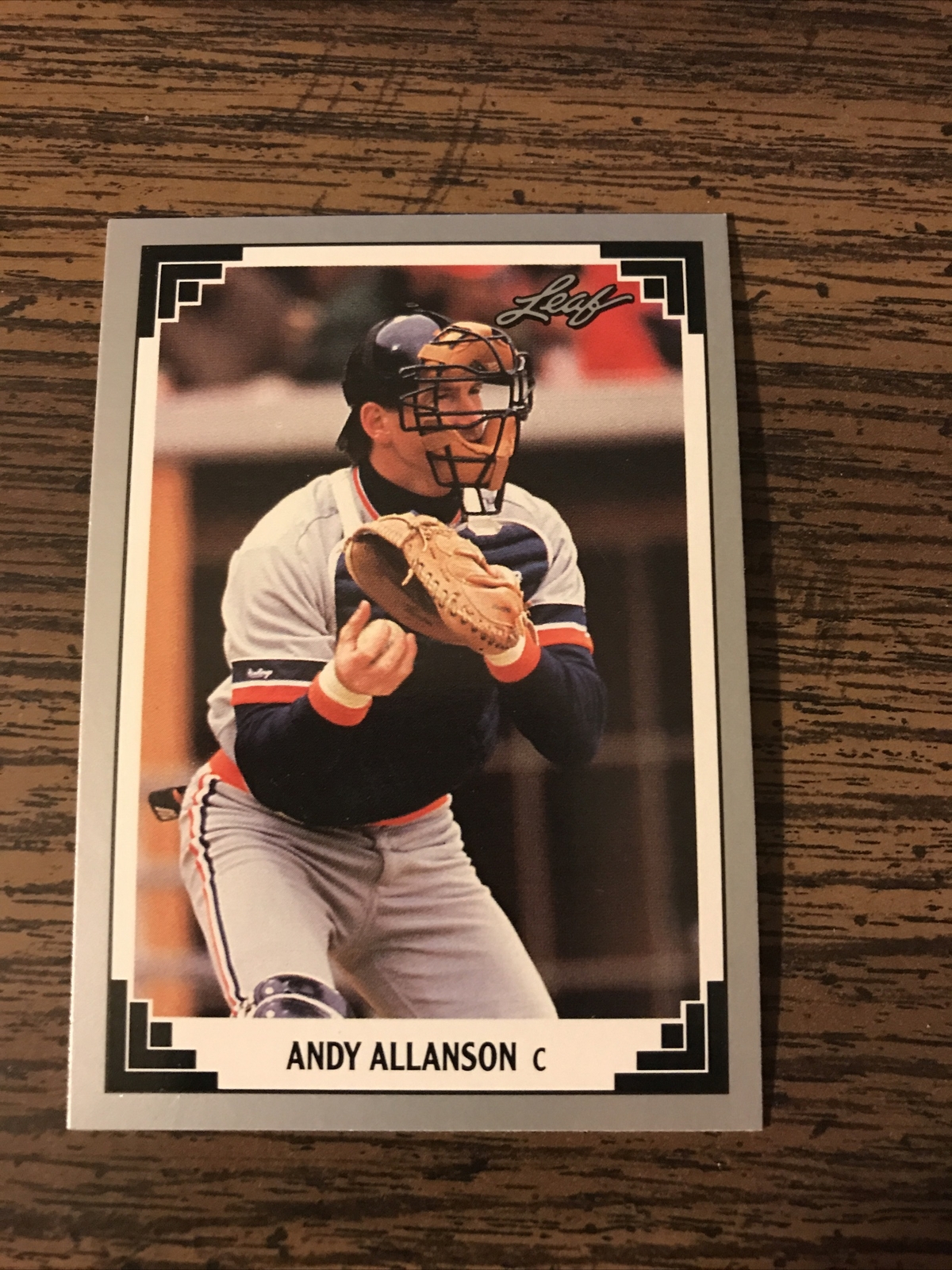 Andy Allanson, C, Detroit Tigers, 1991 Leaf #455