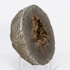 Unique & Rare Septarian Barite Geode from France Baryte Stone 175mm 4100g H0868 — photo 10