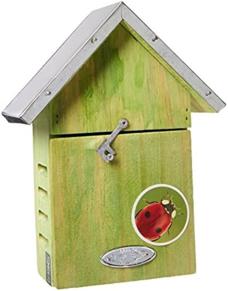 Ladybug House