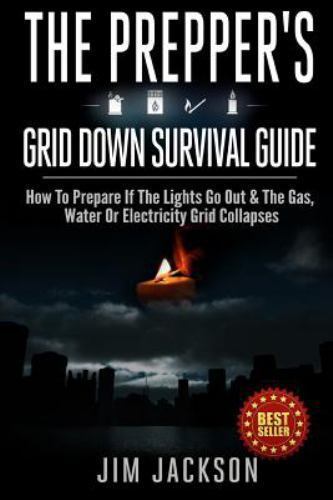 Prepper's Grid down Survival Guide : How to Prepare If the Lights Go ...