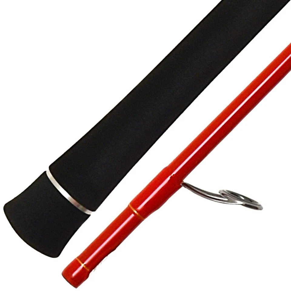 Tenryu Dragon Express - Photo 4/4