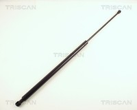 Heckklappen DäMpfer Gasfeder Kofferraum Triscan 8710 38212 FüR CitroËN Xsara N2