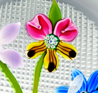 Bild 3 von 10