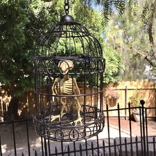 Hanging Crow Raven In Metal Cage Halloween