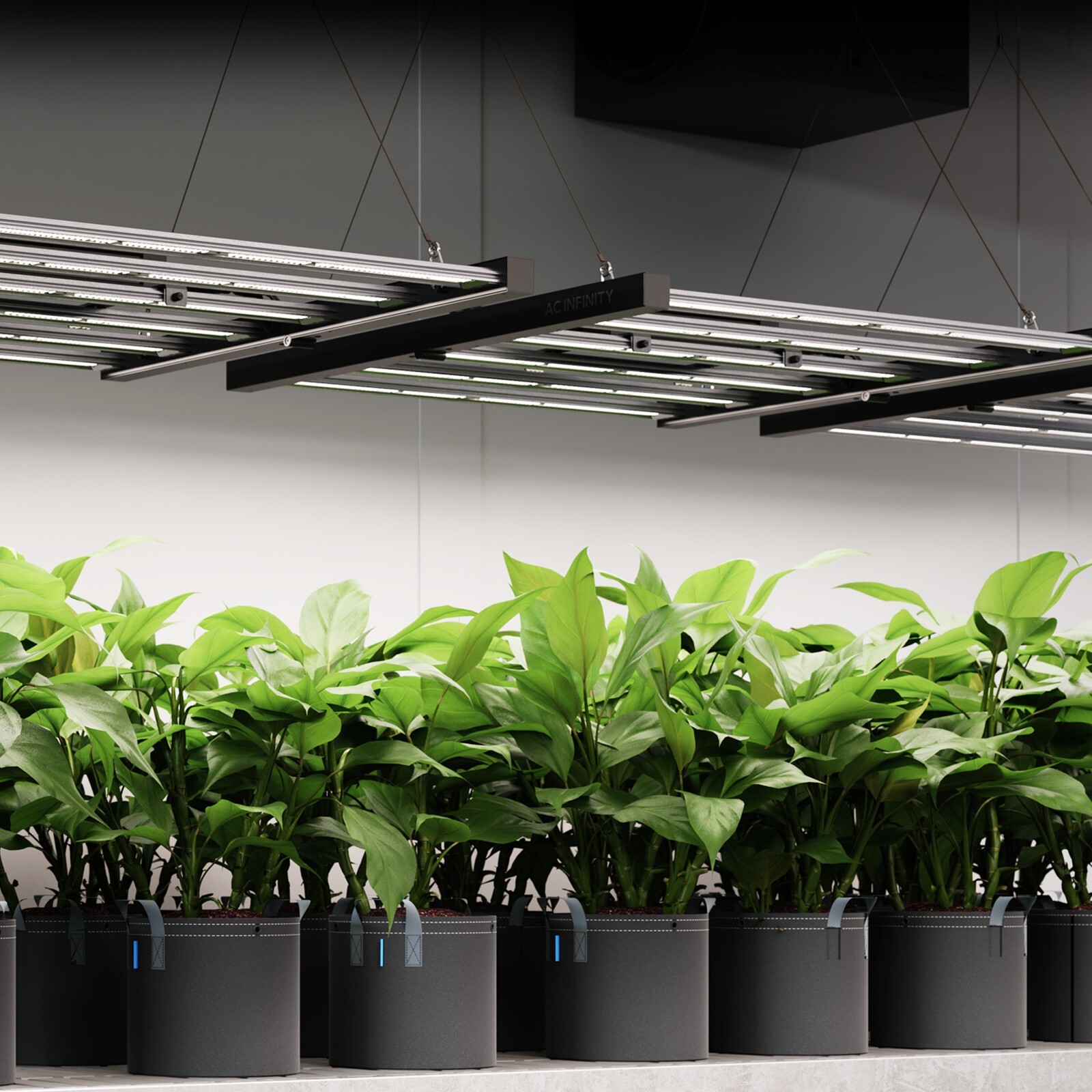 IONFRAME EVO4, Samsung LM301H EVO Commercial Bar LED Grow Light, 300W, 3x3 ft.
