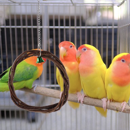 Toys Wood Bird Foraging Small Parrot Travel Bite Swing