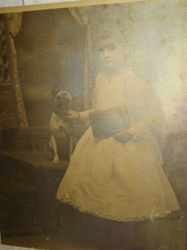 Antique Pug Dog Photograph w/Little Girl Large 1890s? 17"x14" Victorian - Picture 6 of 9