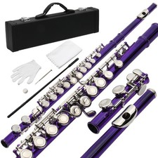 New Standard Purple School Band Student 16 Closed Hole C Flute Set