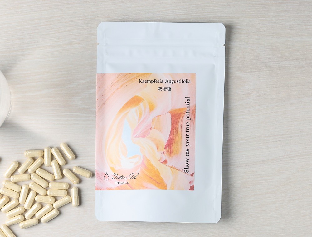 Kaempferia Angustifolia (especie cultivada) - energía herbal y antioxidante Su...
