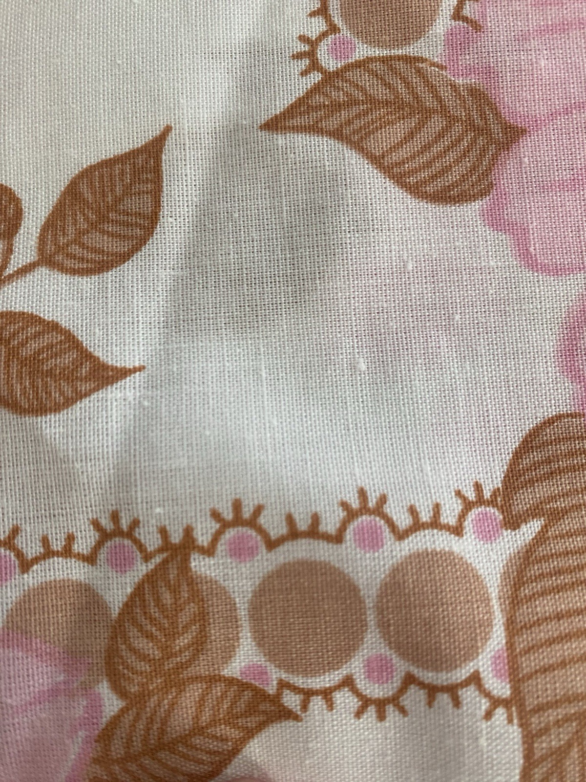 Picture 6 of 6