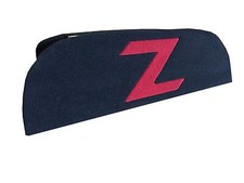 FRONT FIRE w/ RED Z LOGO Subwoofer Box for Nissan 350z Coupe, Sub Box 1-10"