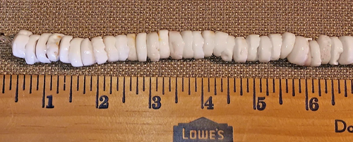 Large Original Hawaiian Puka Shell Necklace. 23" Long, 1/2" Individual Shells #2 - Picture 8 of 11