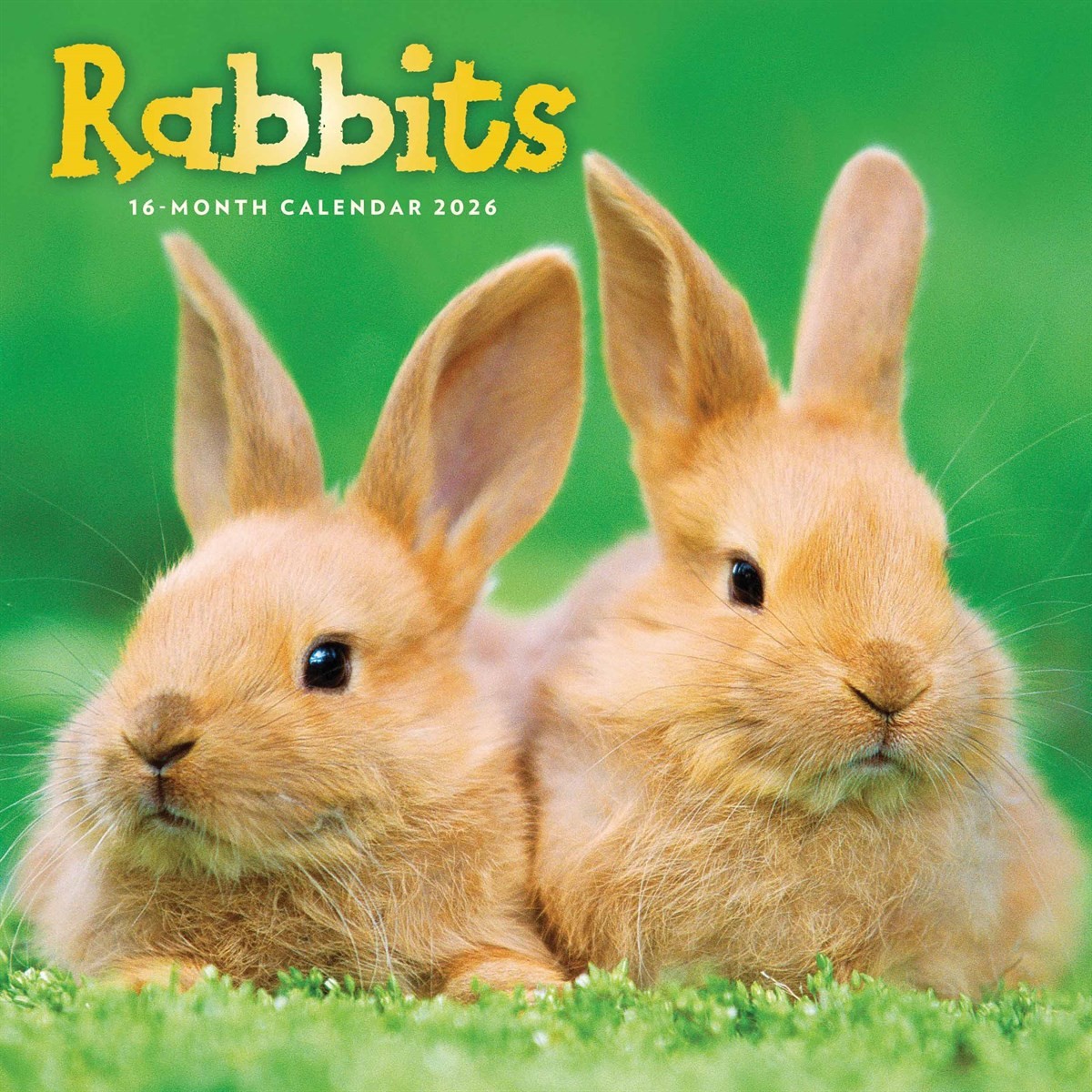 Rabbits Calendar 2026, Wall Calendars, Month To View, Animals, Gift