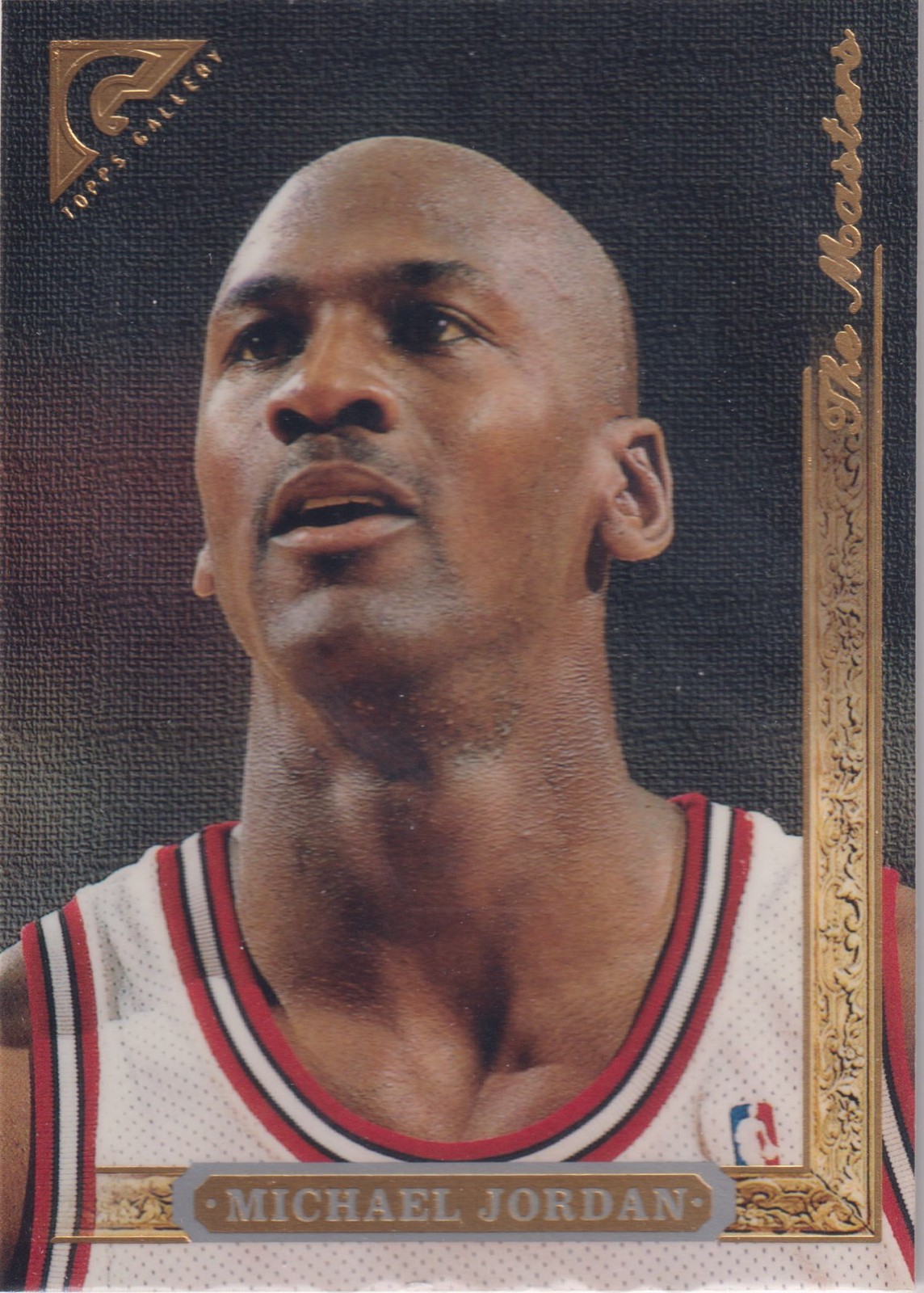 1995-96 Topps Gallery #10 Michael Jordan