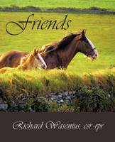 Friends Richard Wasenius Csr Rpr Taschenbuch Kartoniert / Broschiert Englisch