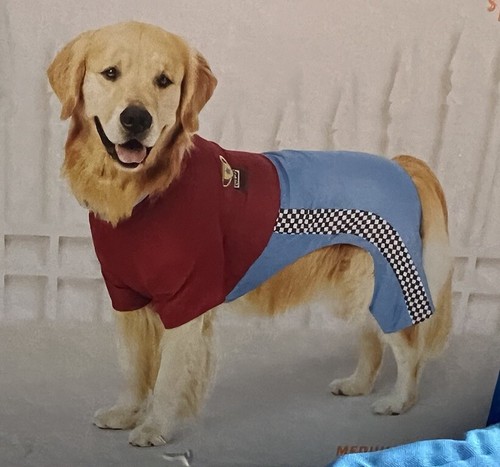 Neu Hundekostüm Gr. M Rennfahrer Versteck Halloween Verkleiden lustig - Bild 1 von 8