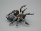 Bild 168 von 270