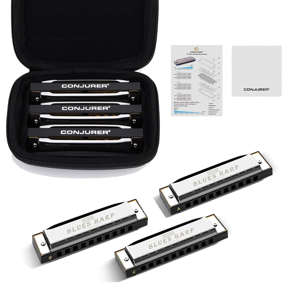 3 Keys Diatonic Harmonica Set 10 Hole Blues Harp Mouth Organ with Case Gift