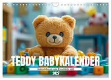 Calendar 2027 US Version Teddy baby calendar - cute to cuddle every month W
