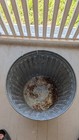 Bild 9 von 12