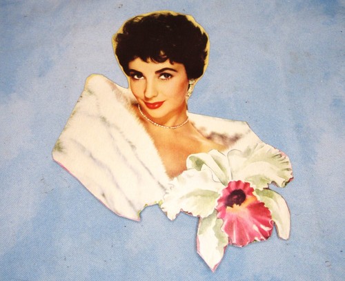 Vintage 1950's Elizabeth Taylor Paper Dolls with 42+ Outfits - Picture 4 of 5