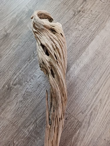 33 Zoll Hartholz dekoratives Treibholz mit Gesicht und Spikes super selten - Bild 5 von 13