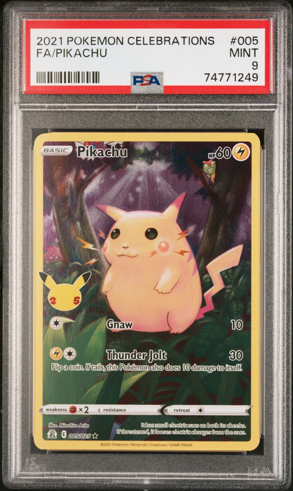 Pikachu #5