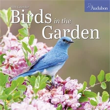 Audubon Birds in the Garden Wall Calendar 2026: Use Native Plants to Attract Bir
