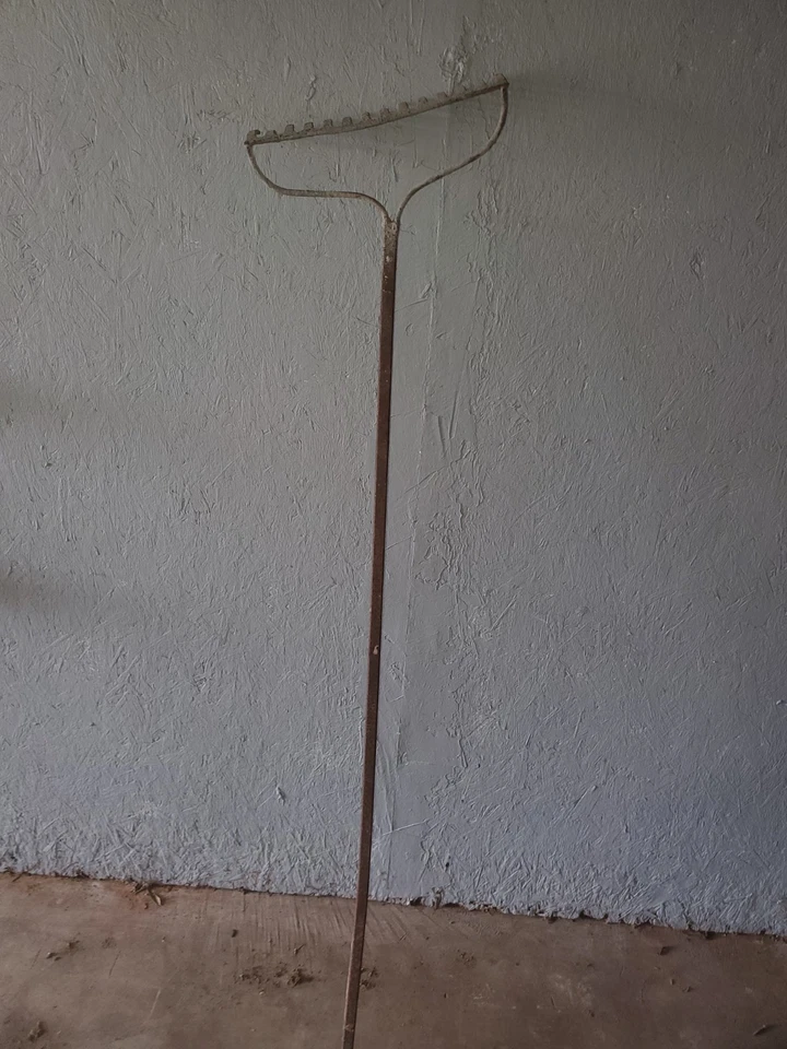 Herramienta de jardín con cabezal rastrillo de metal vintage de 14 dientes Foto 3 de 4