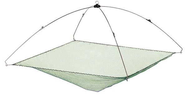 11 ,     11 ,    11 ,    11 ,    11 ,    11 .