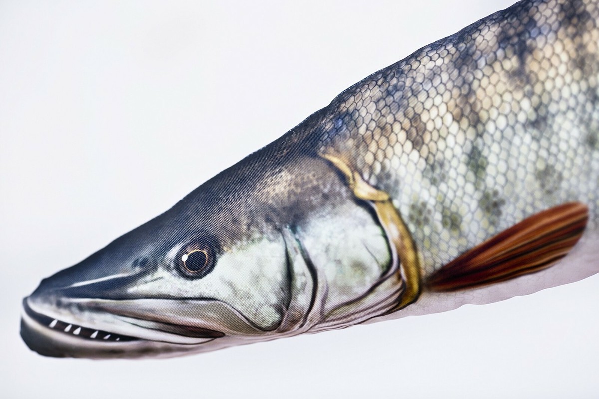 Coussin Poisson Muskie Réaliste 80 Cm – GABY, Cadeau Pêcheur 100% Polyester