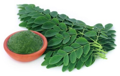 Moringa Leaves Powder Sri Lanka 100% Pure Natural Organic Drumstick Tree